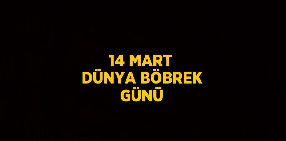 14 MART DÜNYA BÖBREK GÜNÜ