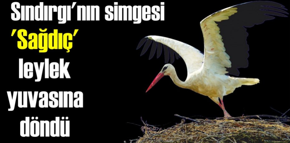 Sındırgı'nın simgesi 'Sağdıç' leylek yuvasına döndü