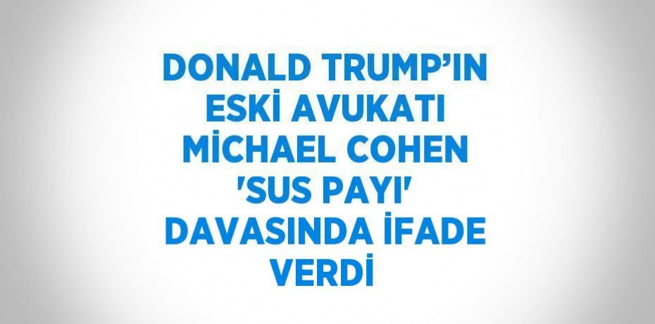 DONALD TRUMP’IN ESKİ AVUKATI MİCHAEL COHEN 'SUS PAYI' DAVASINDA İFADE VERDİ