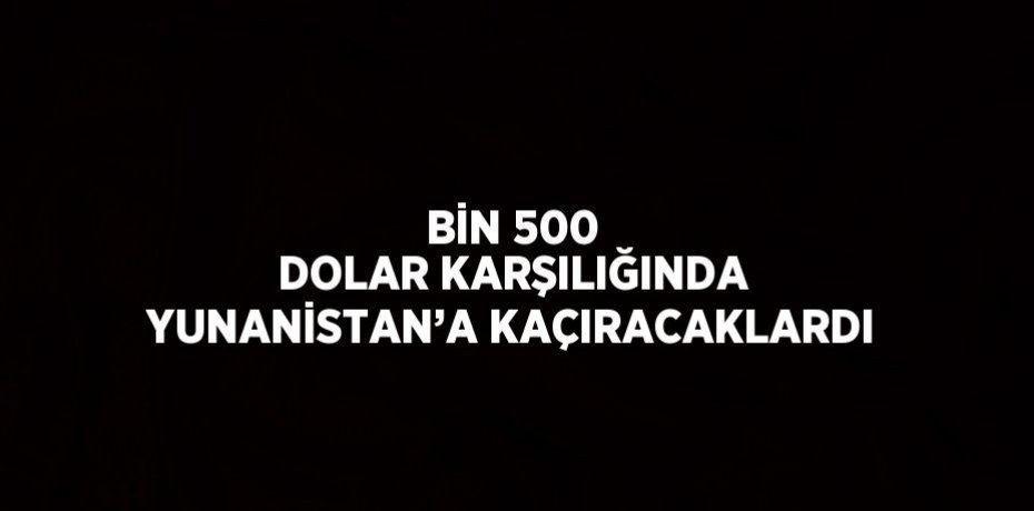 BİN 500 DOLAR KARŞILIĞINDA YUNANİSTAN’A KAÇIRACAKLARDI