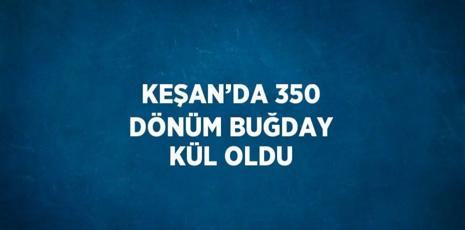 KEŞAN’DA 350 DÖNÜM BUĞDAY KÜL OLDU