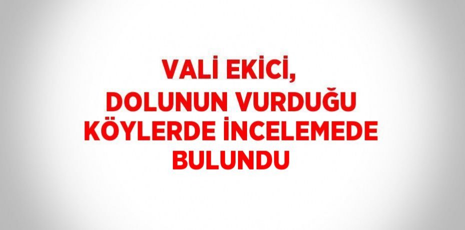 VALİ EKİCİ, DOLUNUN VURDUĞU KÖYLERDE İNCELEMEDE BULUNDU