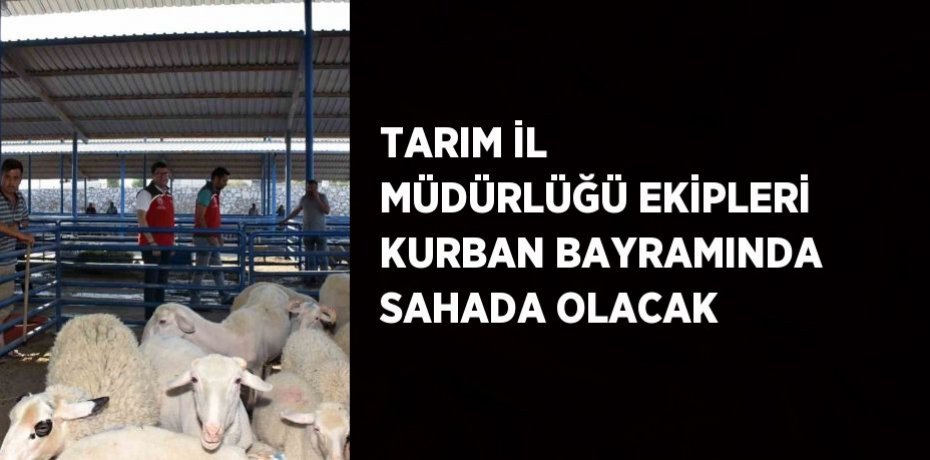 TARIM İL MÜDÜRLÜĞÜ EKİPLERİ KURBAN BAYRAMINDA SAHADA OLACAK