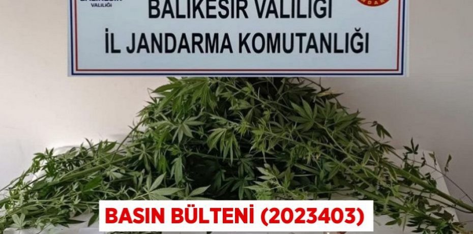Basın Bülteni (2023403)