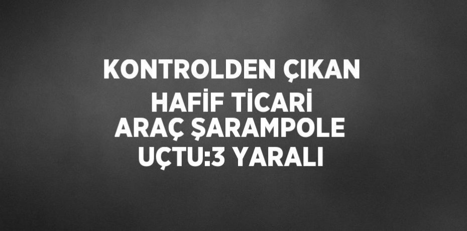 KONTROLDEN ÇIKAN HAFİF TİCARİ ARAÇ ŞARAMPOLE UÇTU:3 YARALI