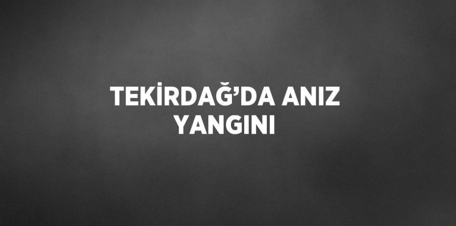 TEKİRDAĞ’DA ANIZ YANGINI