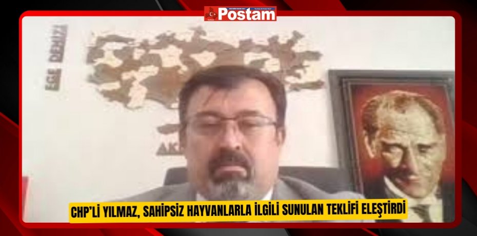 CHP’li Yılmaz, sahipsiz hayvanlarla ilgili sunulan teklifi eleştirdi