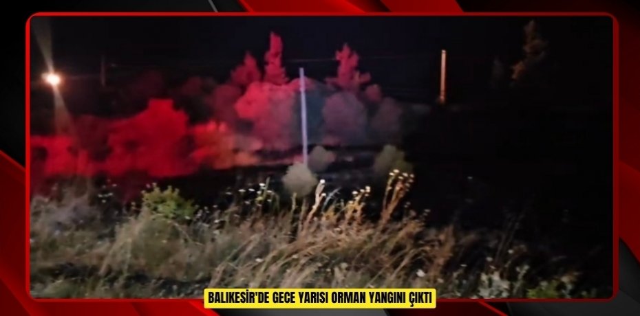 Balıkesir'de gece yarısı orman yangını çıktı  