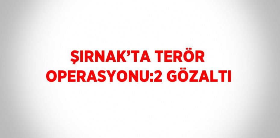 ŞIRNAK’TA TERÖR OPERASYONU:2 GÖZALTI