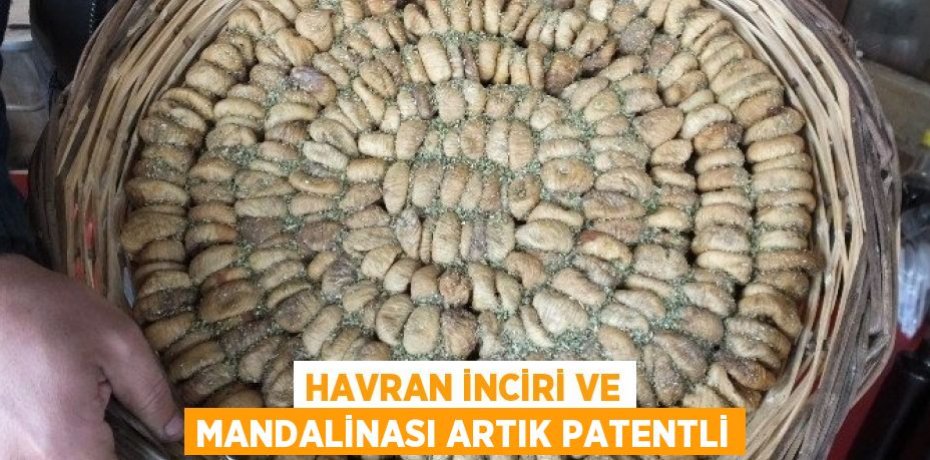 Havran inciri ve mandalinası artık patentli