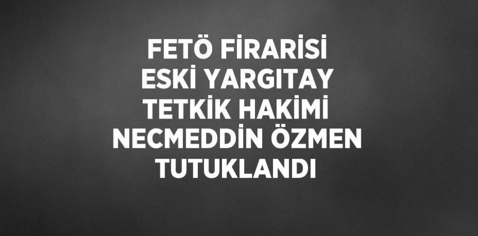 FETÖ FİRARİSİ ESKİ YARGITAY TETKİK HAKİMİ NECMEDDİN ÖZMEN TUTUKLANDI