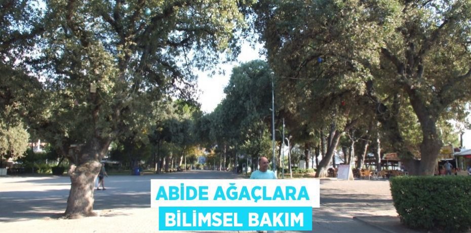 Abide ağaçlara bilimsel bakım