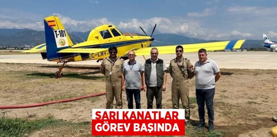 Sarı kanatlar görev başında