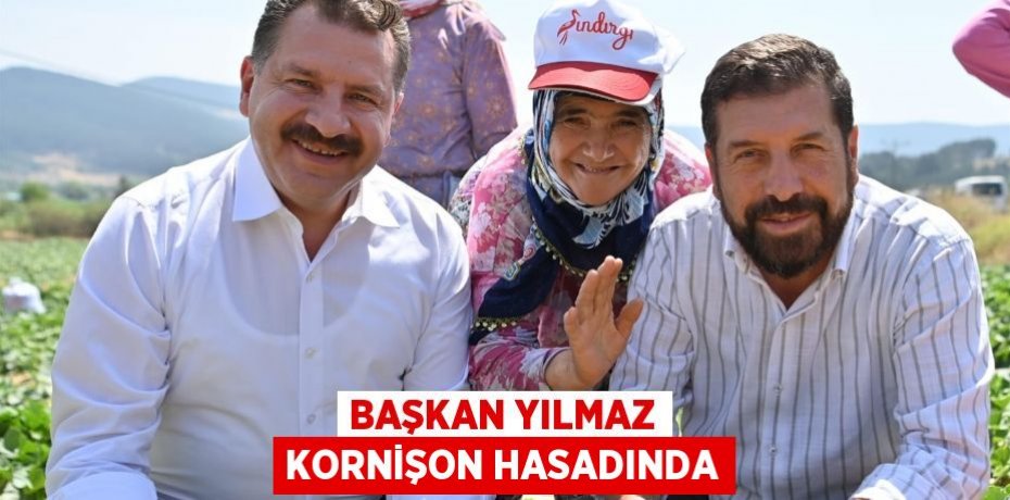 Başkan Yılmaz kornişon hasadında