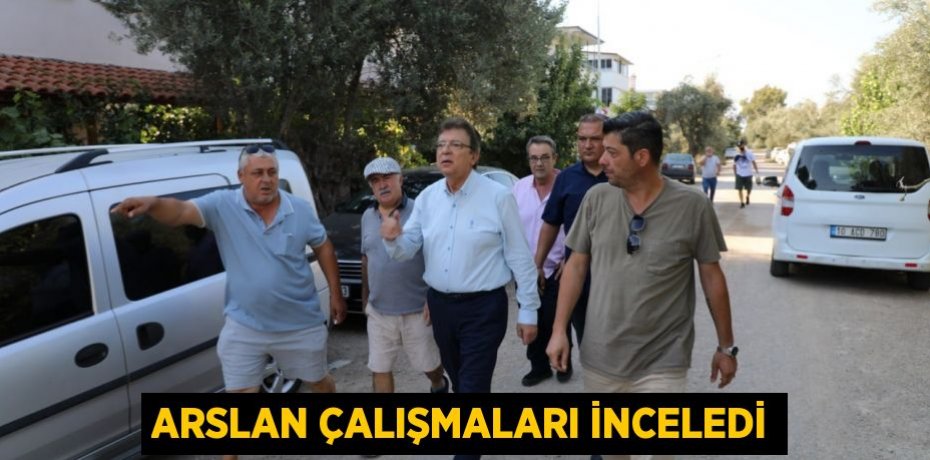 ARSLAN ÇALIŞMALARI İNCELEDİ