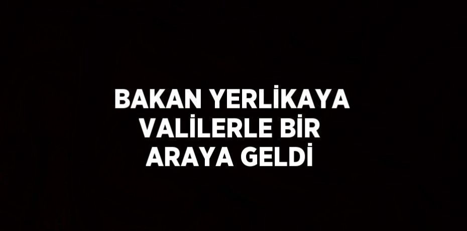BAKAN YERLİKAYA VALİLERLE BİR ARAYA GELDİ