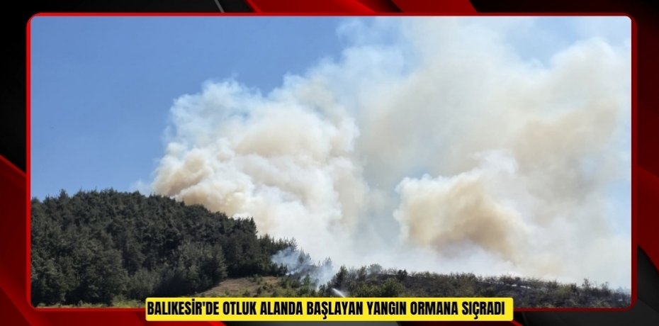 Balıkesir'de otluk alanda başlayan yangın ormana sıçradı  