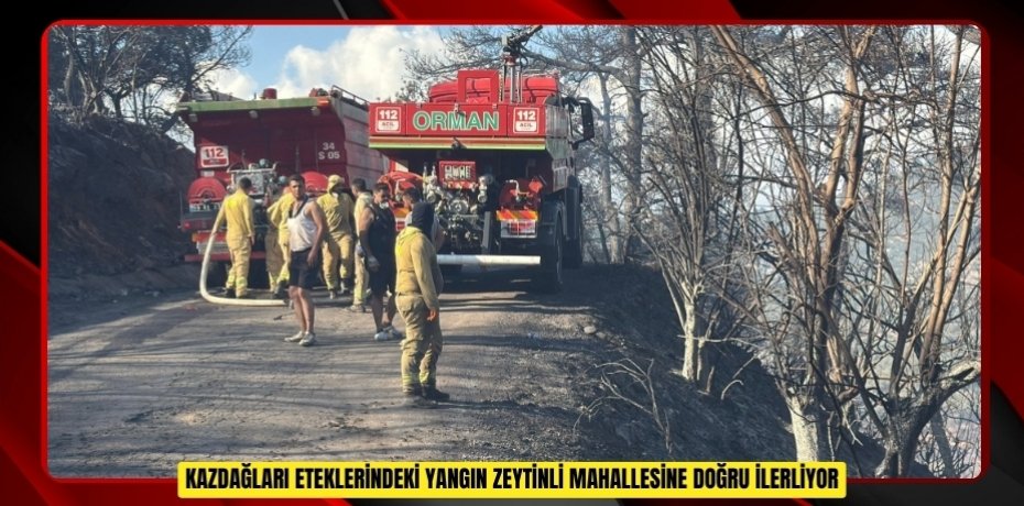 Edremit Kazdağları ve Dursunbey'deki yangınlar kontrol altına alındı  