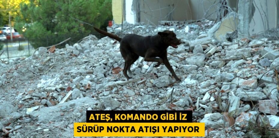 Ateş, komando gibi iz sürüp nokta atışı yapıyor