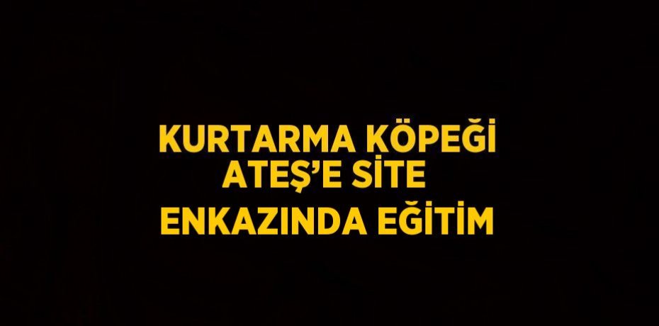 KURTARMA KÖPEĞİ ATEŞ’E SİTE ENKAZINDA EĞİTİM