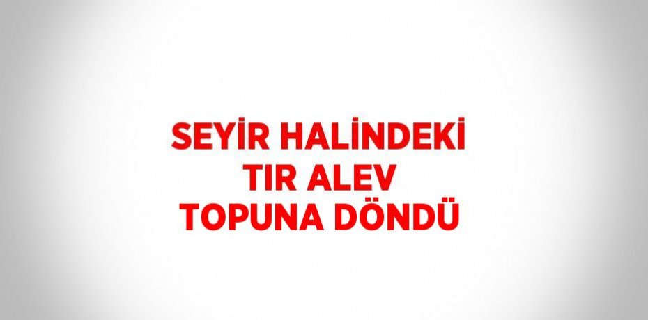 SEYİR HALİNDEKİ TIR ALEV TOPUNA DÖNDÜ