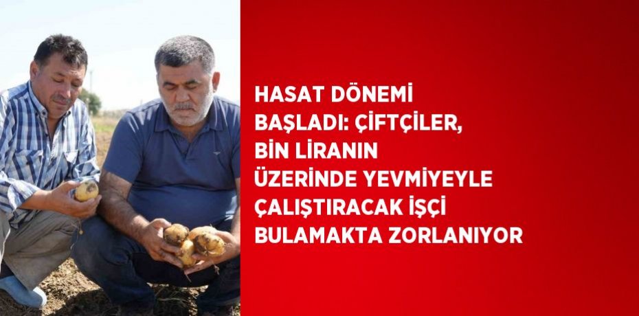 HASAT DÖNEMİ BAŞLADI: ÇİFTÇİLER, BİN LİRANIN ÜZERİNDE YEVMİYEYLE ÇALIŞTIRACAK İŞÇİ BULAMAKTA ZORLANIYOR