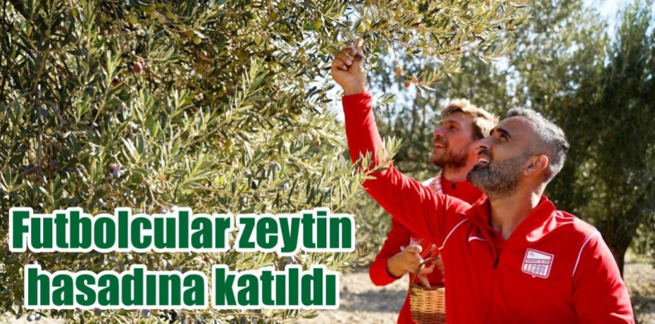 Futbolcular zeytin hasadına katıldı