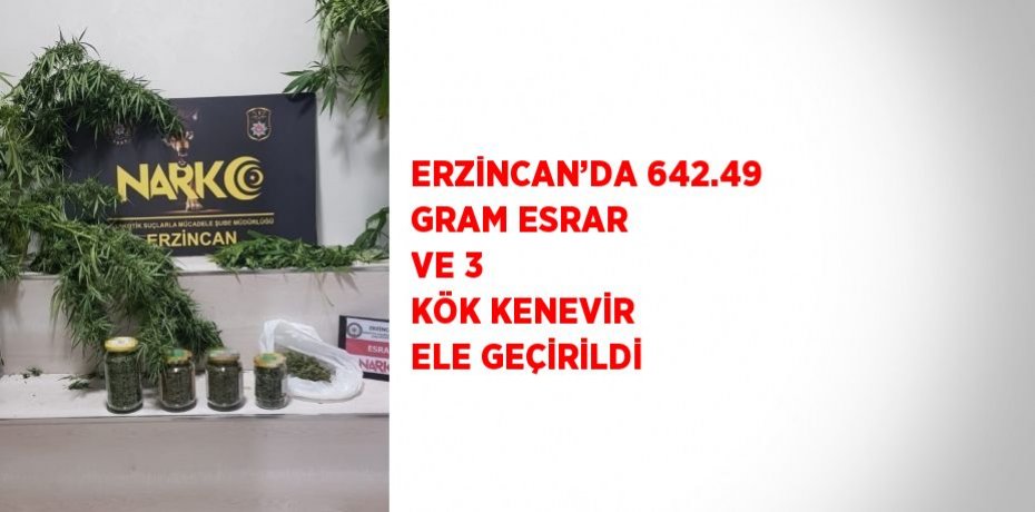 ERZİNCAN’DA 642.49 GRAM ESRAR VE 3 KÖK KENEVİR ELE GEÇİRİLDİ
