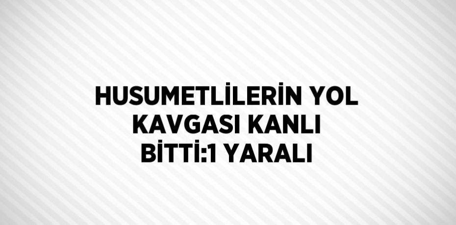 HUSUMETLİLERİN YOL KAVGASI KANLI BİTTİ:1 YARALI