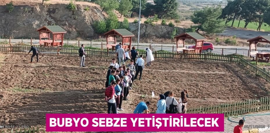 BUBYO SEBZE YETİŞTİRİLECEK