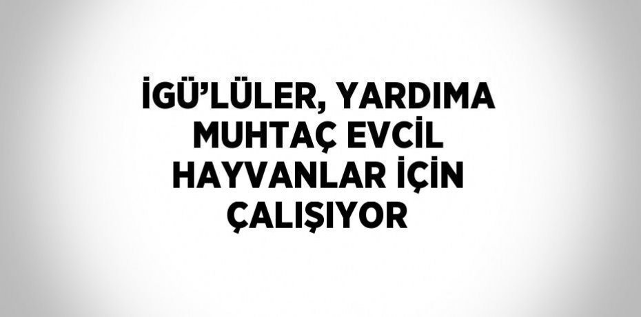 İGÜ’LÜLER, YARDIMA MUHTAÇ EVCİL HAYVANLAR İÇİN ÇALIŞIYOR