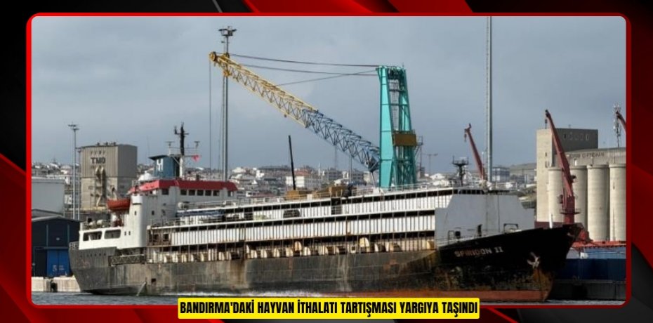 Bandırma'daki hayvan ithalatı tartışması yargıya taşındı