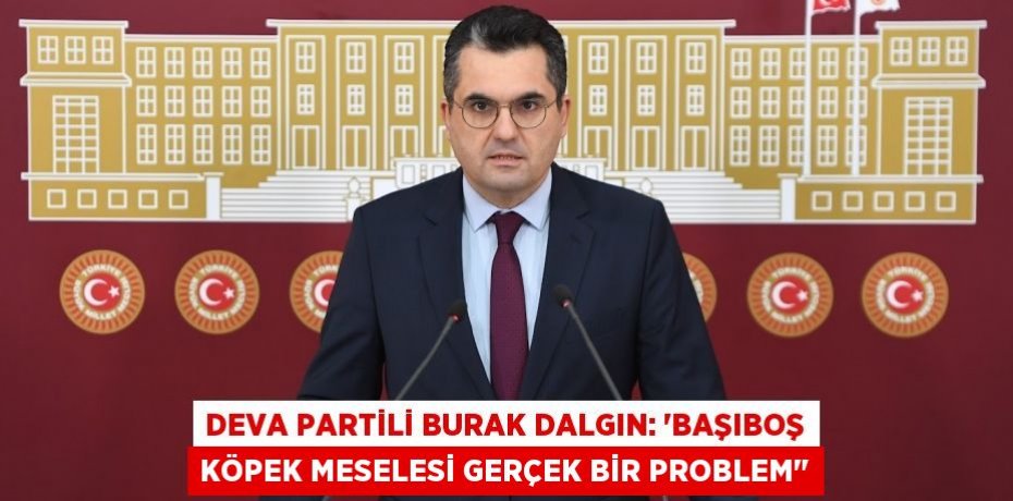 DEVA PARTİLİ BURAK DALGIN: “Başıboş köpek meselesi gerçek bir problem"