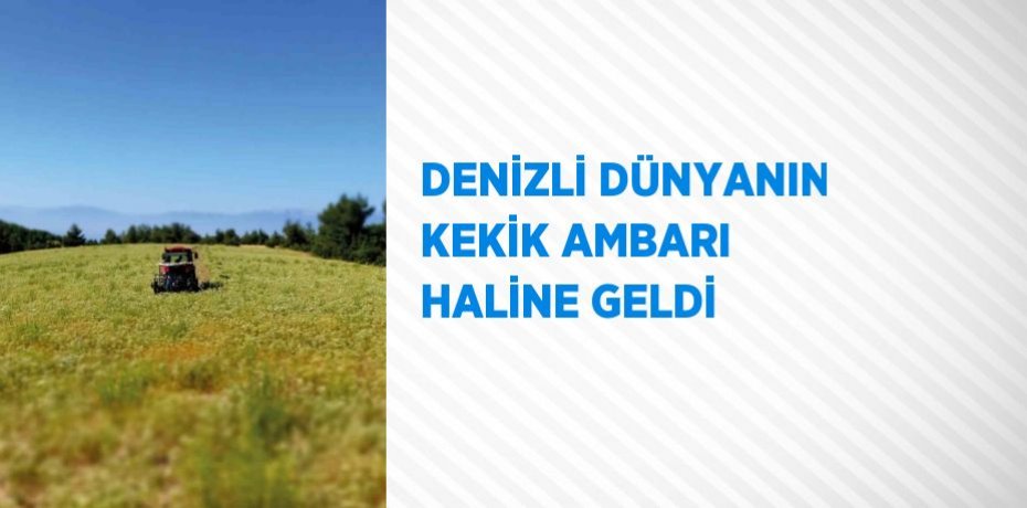 DENİZLİ DÜNYANIN KEKİK AMBARI HALİNE GELDİ