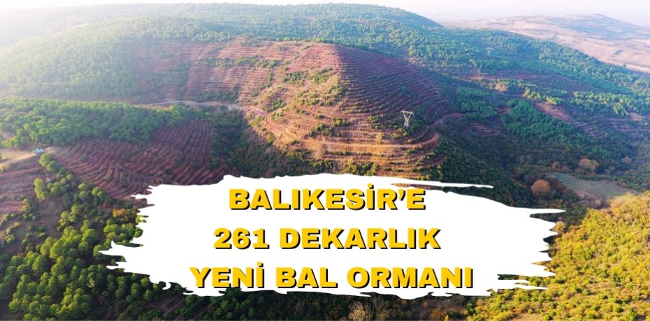 Balıkesir’e 261 dekarlık yeni bal ormanı