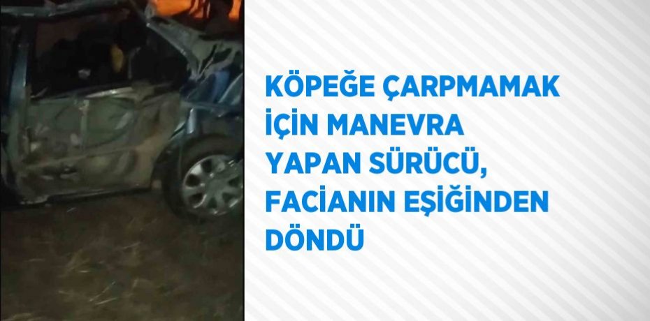 KÖPEĞE ÇARPMAMAK İÇİN MANEVRA YAPAN SÜRÜCÜ, FACİANIN EŞİĞİNDEN DÖNDÜ