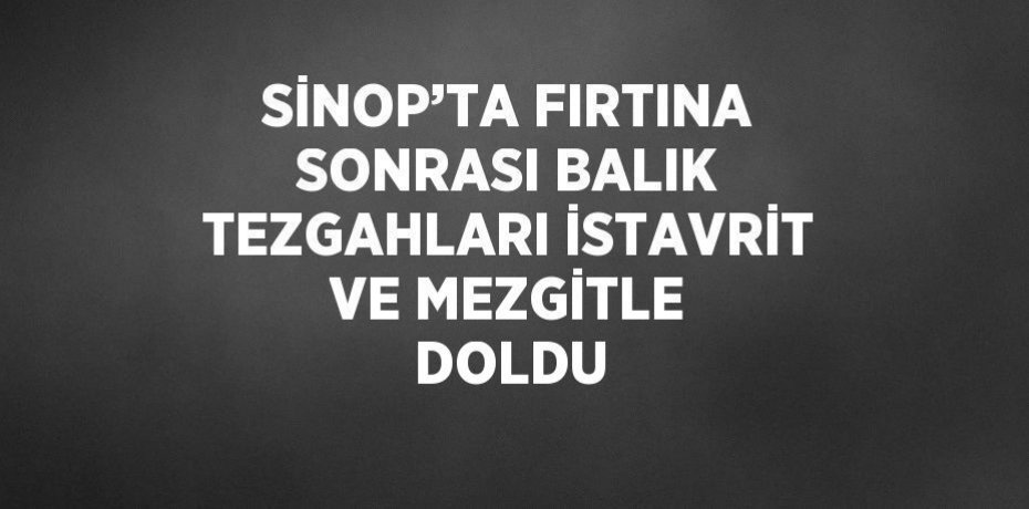 SİNOP’TA FIRTINA SONRASI BALIK TEZGAHLARI İSTAVRİT VE MEZGİTLE DOLDU