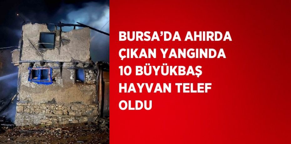 BURSA’DA AHIRDA ÇIKAN YANGINDA 10 BÜYÜKBAŞ HAYVAN TELEF OLDU