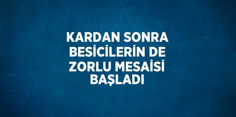 KARDAN SONRA BESİCİLERİN DE ZORLU MESAİSİ BAŞLADI