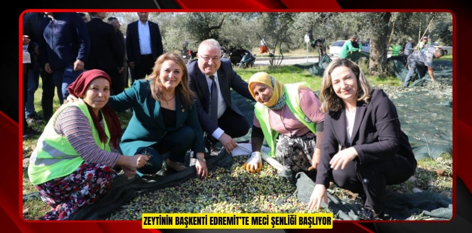 ZEYTİNİN BAŞKENTİ EDREMİT’TE MECİ ŞENLİĞİ BAŞLIYOR