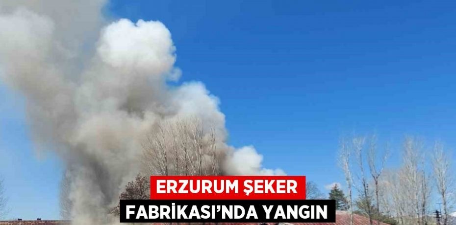 ERZURUM ŞEKER FABRİKASI’NDA YANGIN