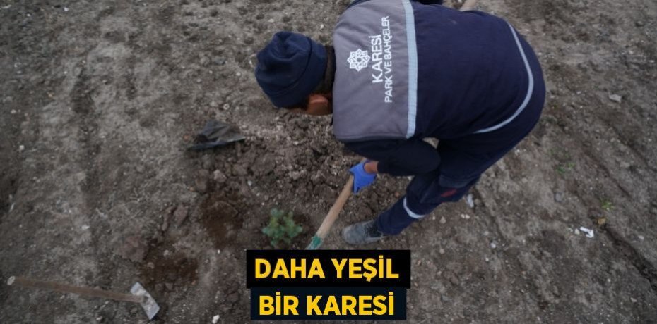 DAHA YEŞİL BİR KARESİ