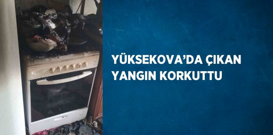 YÜKSEKOVA’DA ÇIKAN YANGIN KORKUTTU