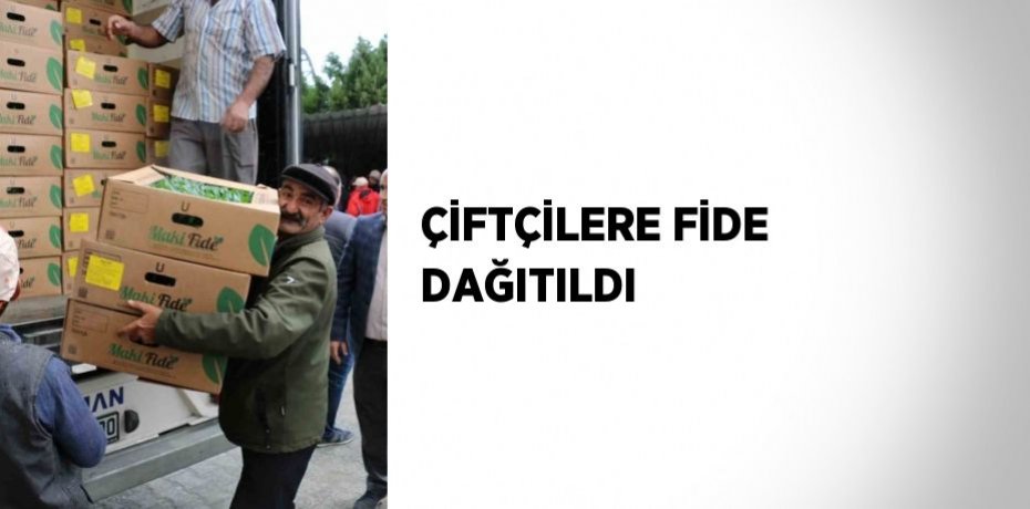ÇİFTÇİLERE FİDE DAĞITILDI
