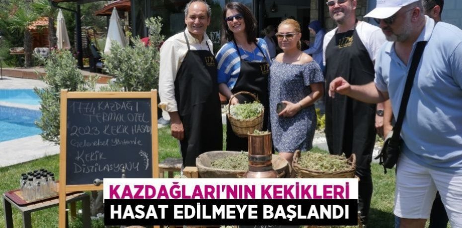 Kazdağları’nın kekikleri hasat edilmeye başlandı
