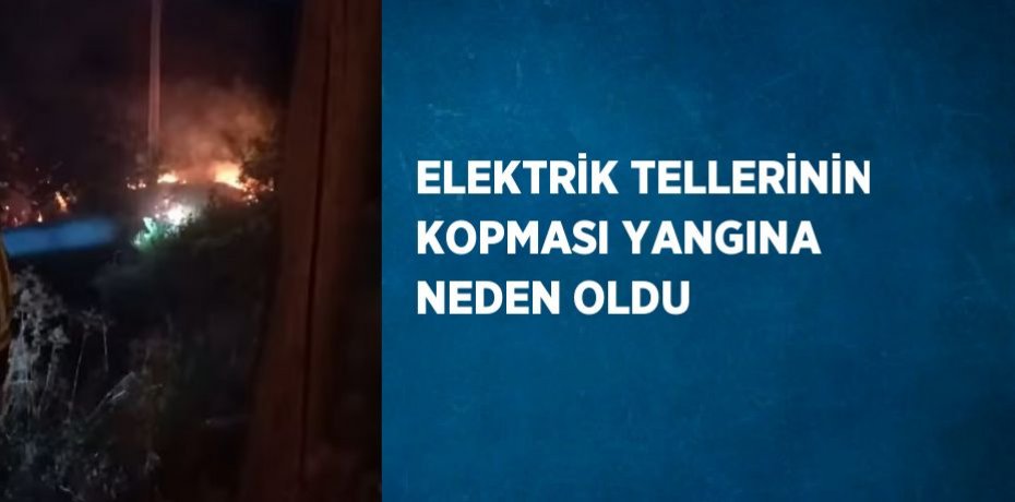 ELEKTRİK TELLERİNİN KOPMASI YANGINA NEDEN OLDU