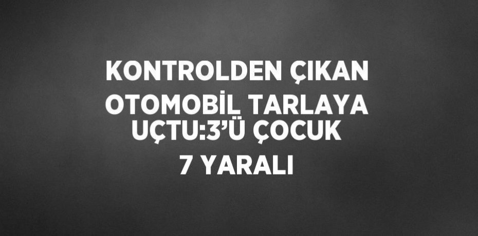 KONTROLDEN ÇIKAN OTOMOBİL TARLAYA UÇTU:3’Ü ÇOCUK 7 YARALI