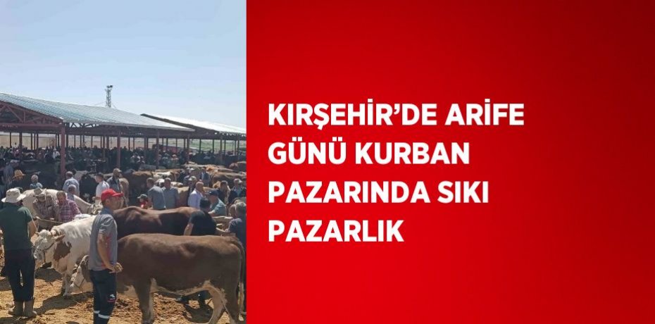KIRŞEHİR’DE ARİFE GÜNÜ KURBAN PAZARINDA SIKI PAZARLIK