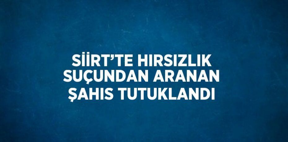 SİİRT’TE HIRSIZLIK SUÇUNDAN ARANAN ŞAHIS TUTUKLANDI
