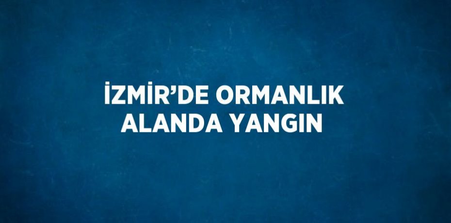 İZMİR’DE ORMANLIK ALANDA YANGIN